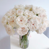 White O'Hara * 20